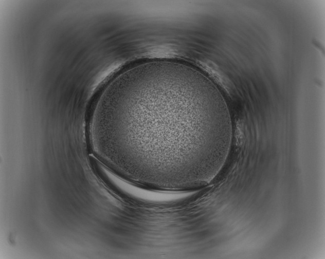 X0000098150535200804241742