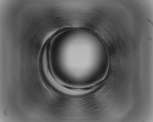 X0000098150536200804241742