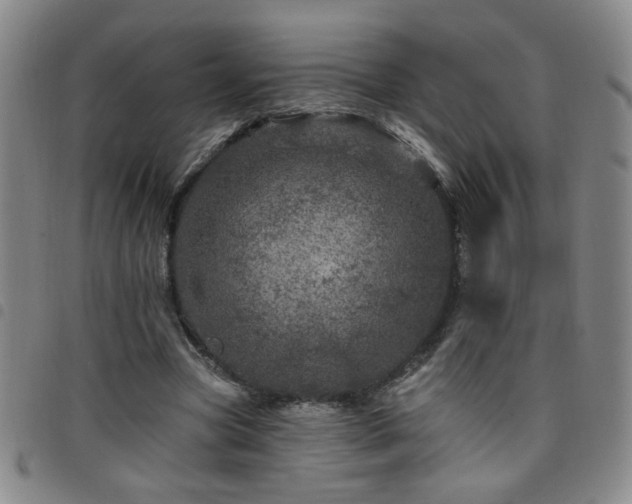 X0000098150537200804241742
