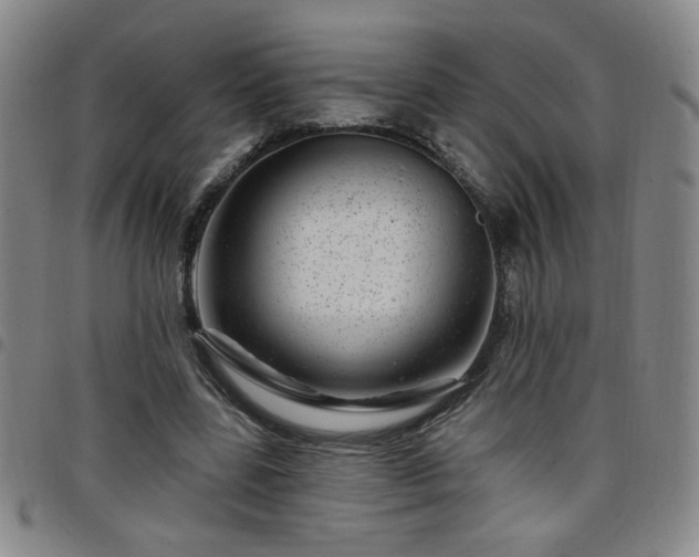 X0000098150539200804241742