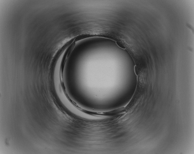 X0000098150540200804241742