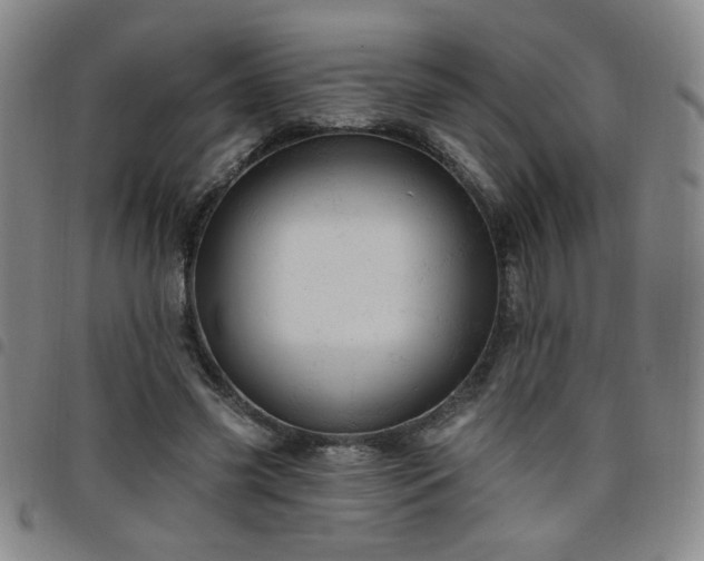 X0000098150541200804241742