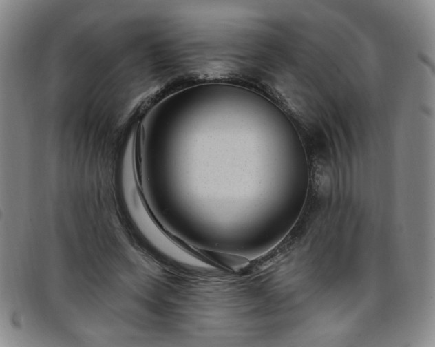 X0000098150543200804241742