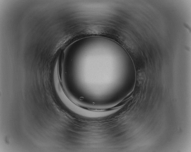 X0000098150544200804241742