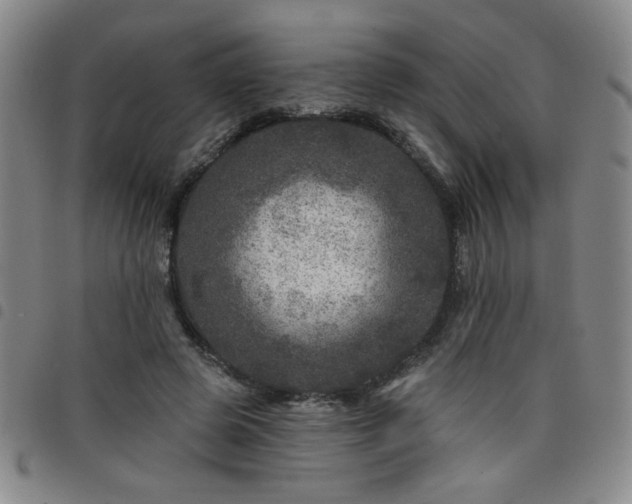 X0000098150545200804241742