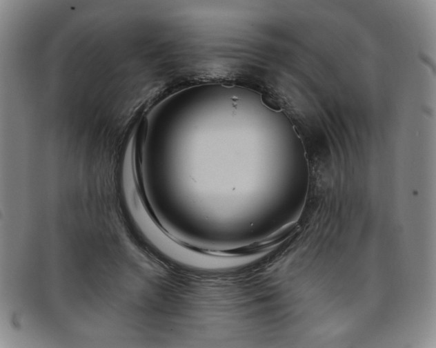 X0000098150546200804241742