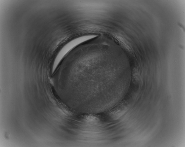 X0000098150547200804241742