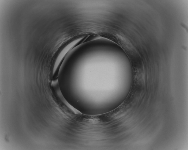 X0000098150548200804241742