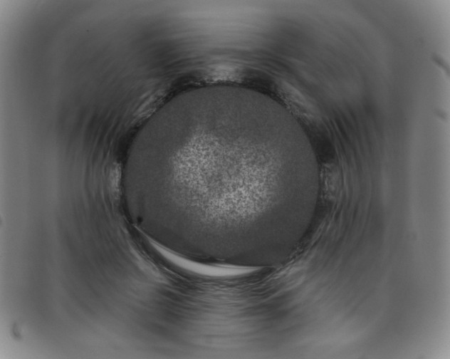 X0000098150550200804241742