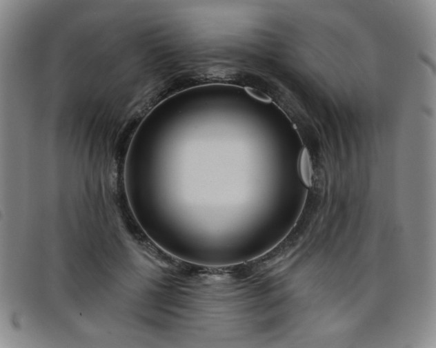 X0000098150552200804241742