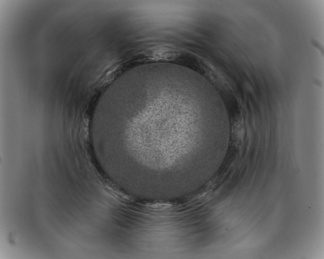 X0000098150554200804241742