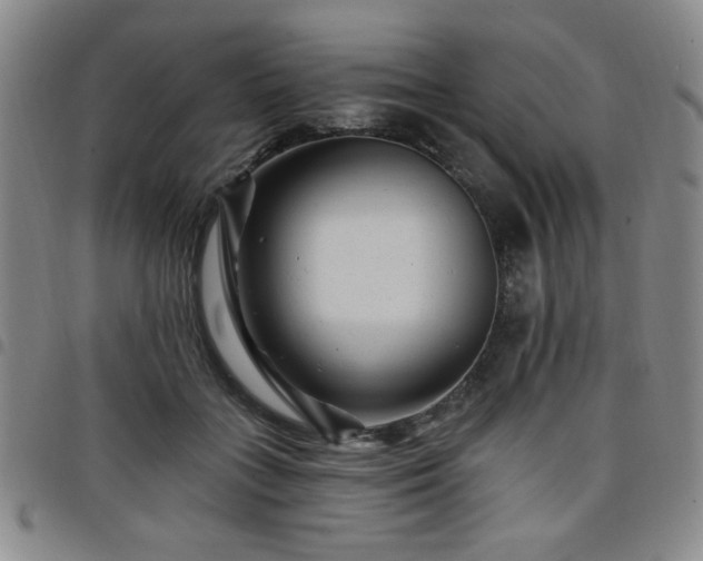 X0000098150555200804241742