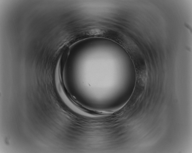 X0000098150556200804241742