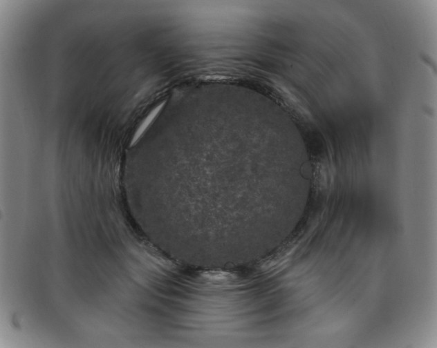 X0000098150557200804241742