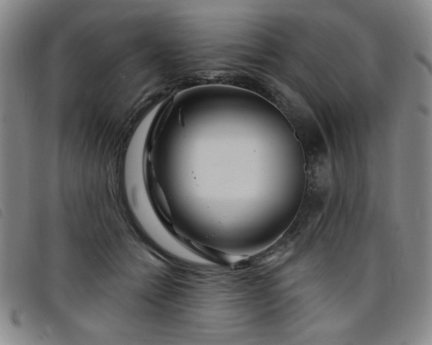 X0000098150558200804241742