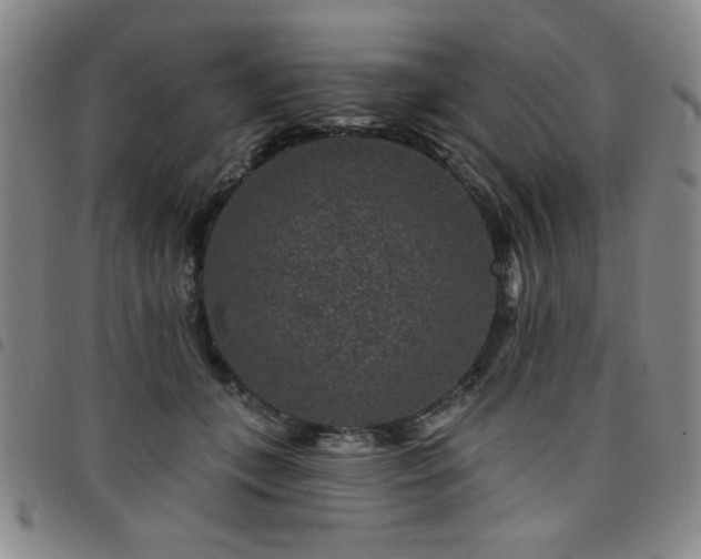 X0000098150559200804241742