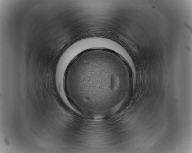 X0000098150560200804241742