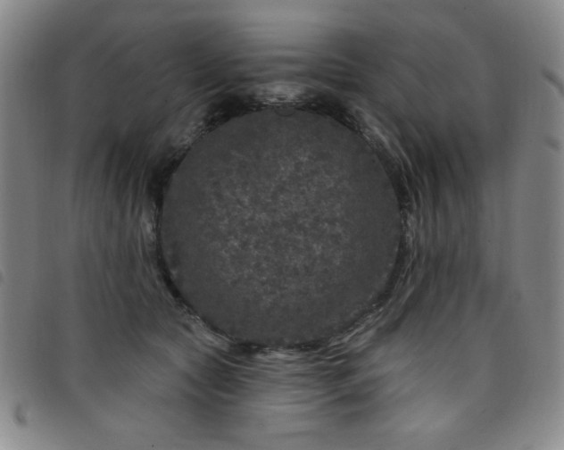 X0000098150561200804241742