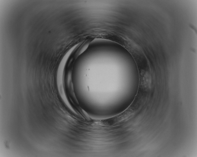 X0000098150562200804241742