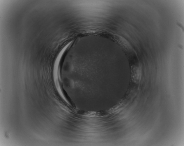 X0000098150563200804241742