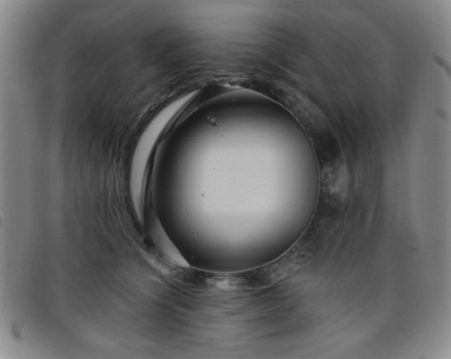 X0000098150564200804241742