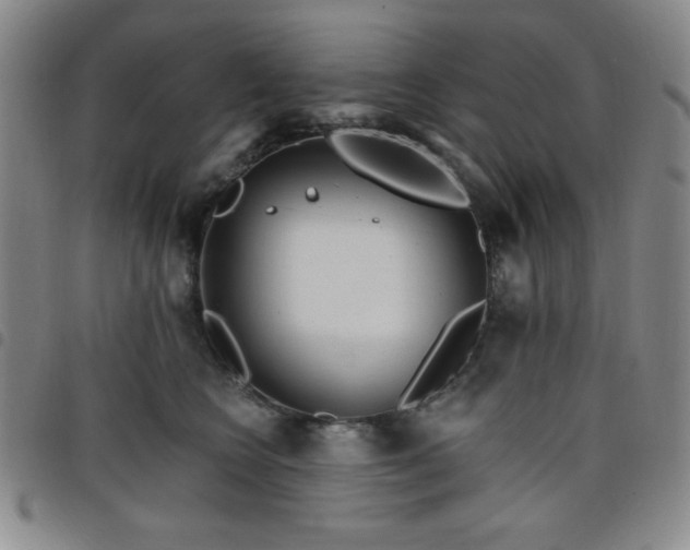X0000098150566200804241742