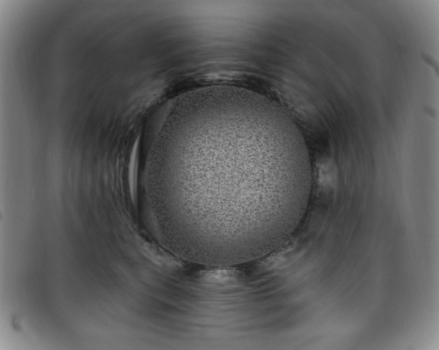 X0000098150567200804241742