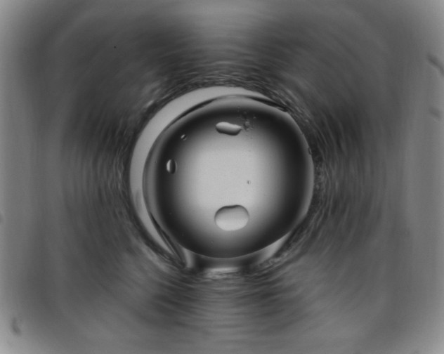 X0000098150568200804241742
