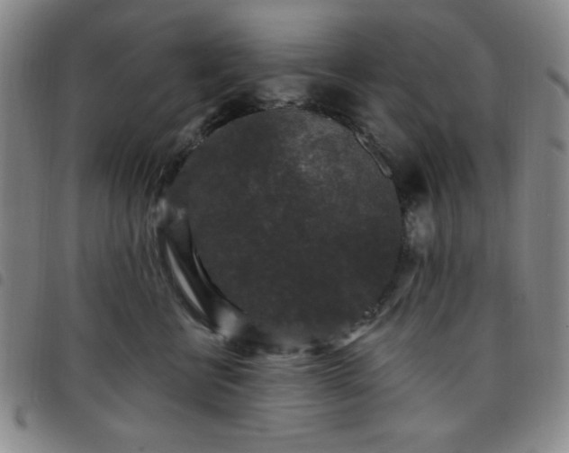 X0000098150570200804241742