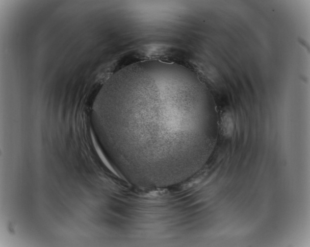 X0000098150571200804241742