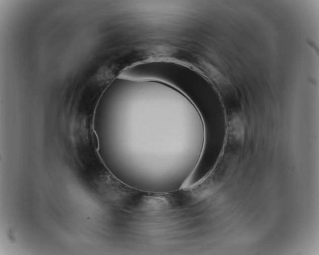 X0000098150572200804241742