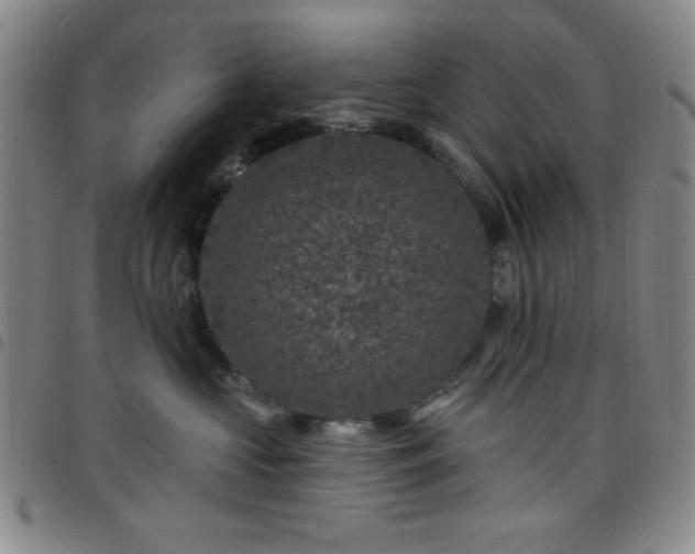 X0000098150573200804241742