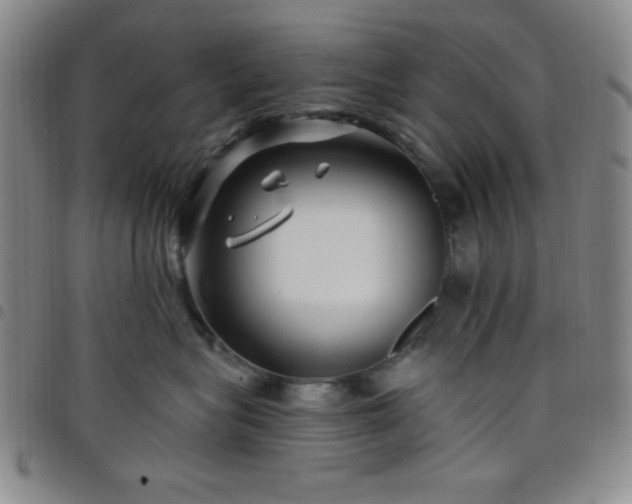 X0000098150575200804241742