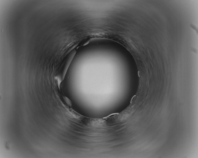 X0000098150576200804241742