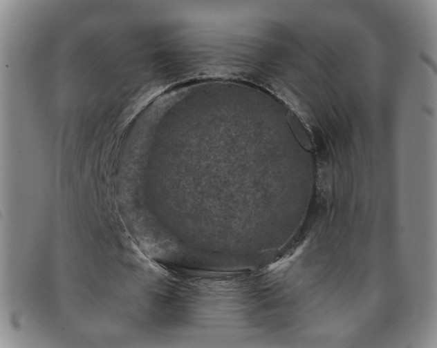 X0000098150577200804241742