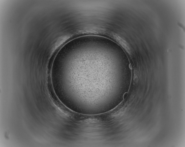 X0000098150578200804241742