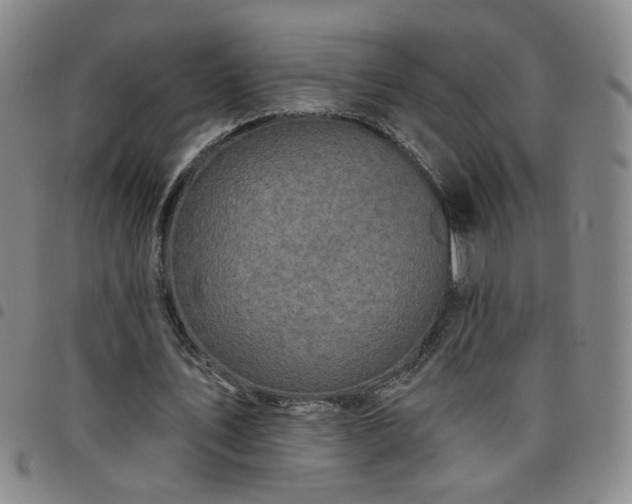X0000098150579200804241742