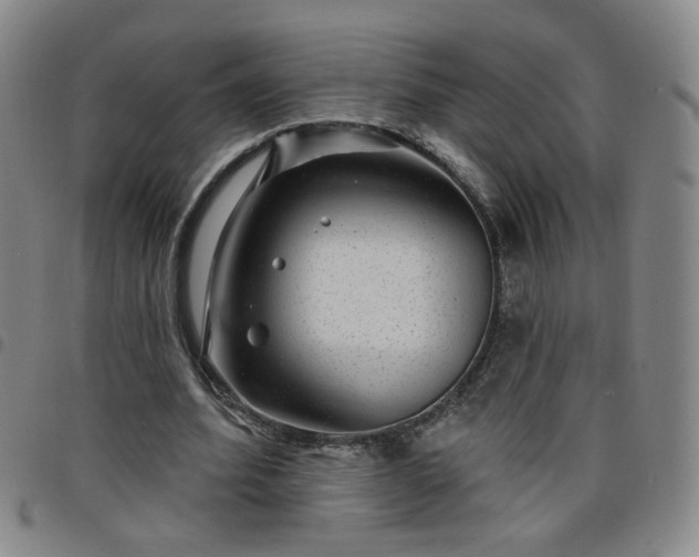 X0000098150580200804241742
