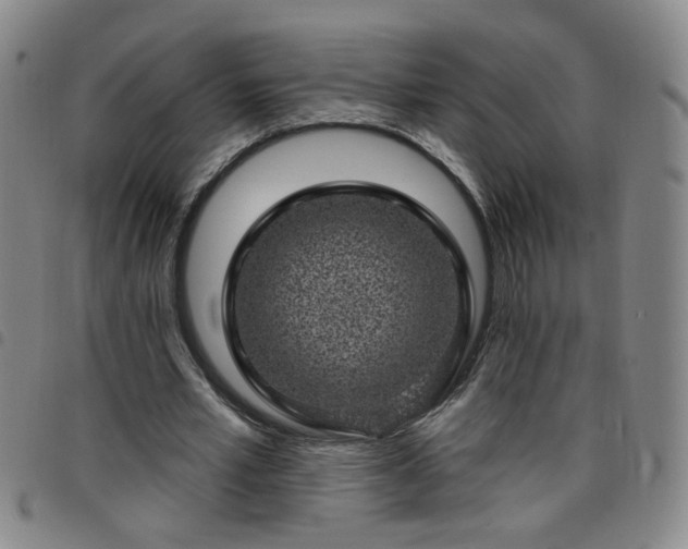 X0000098150581200804241742