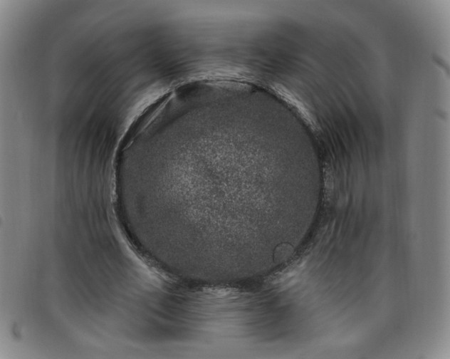 X0000098150582200804241742