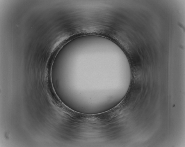 X0000098150583200804241742