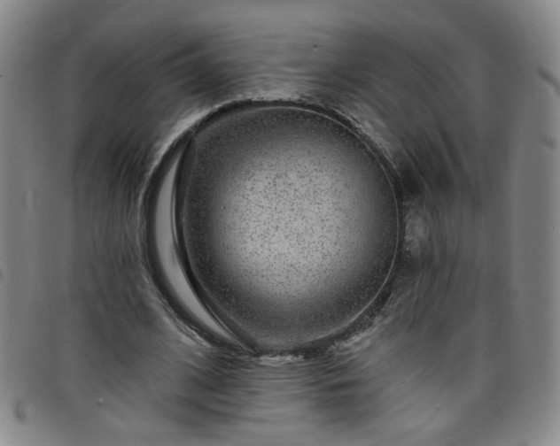 X0000098150584200804241742