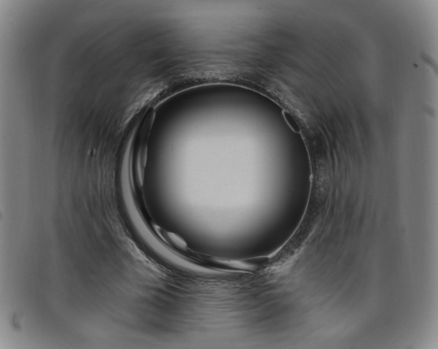 X0000098150585200804241741
