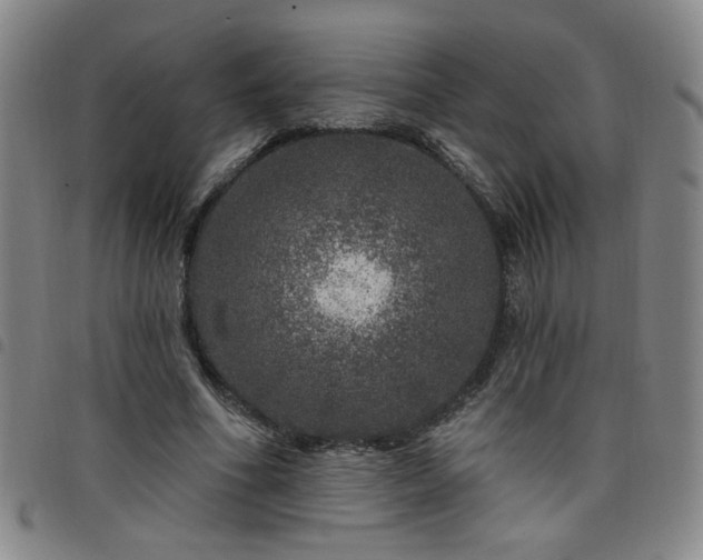 X0000098150586200804241741