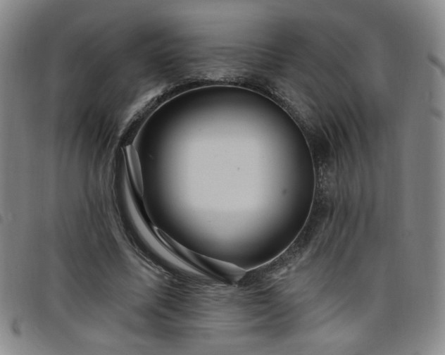 X0000098150587200804241741