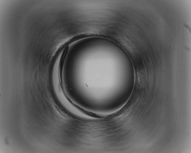 X0000098150588200804241741