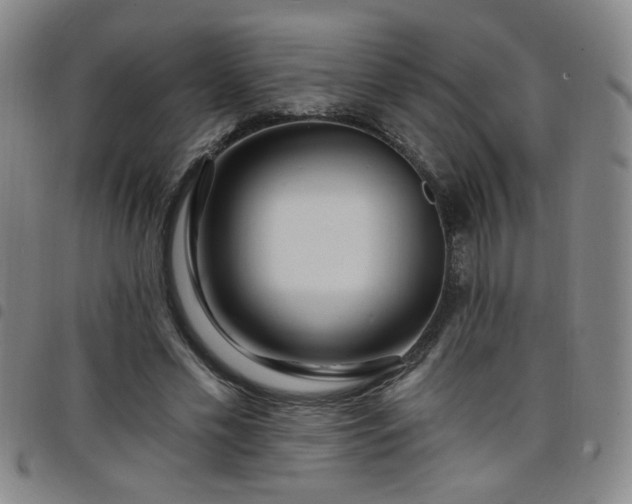 X0000098150589200804241741