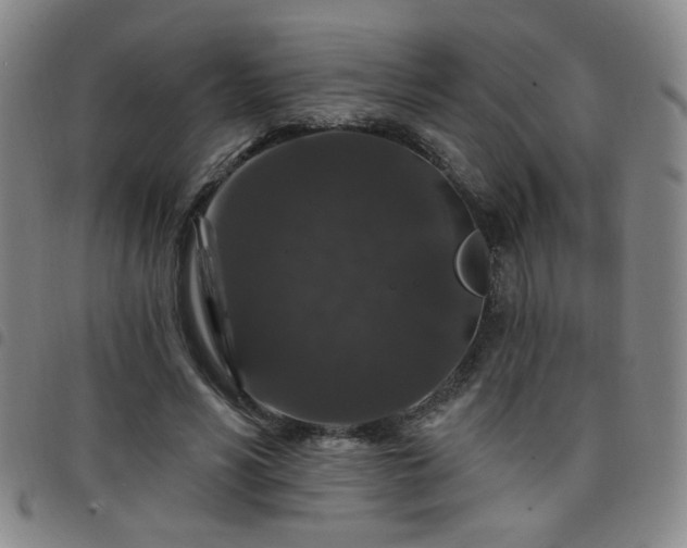 X0000098150590200804241741