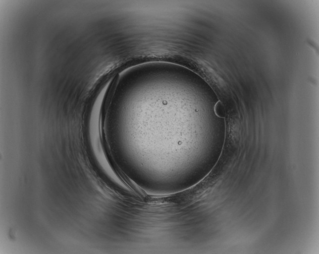 X0000098150591200804241741