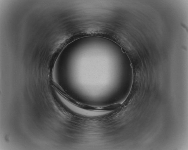 X0000098150592200804241741